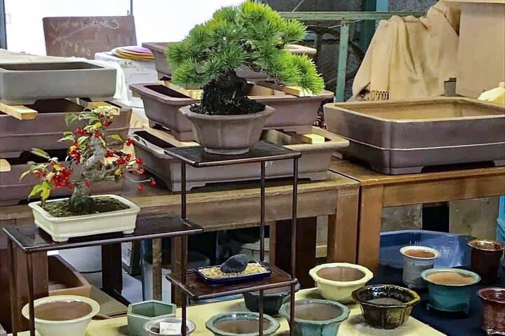 3Days-Bonsai & Sencha Tea Experience: Pastime of the Literati — photo 11