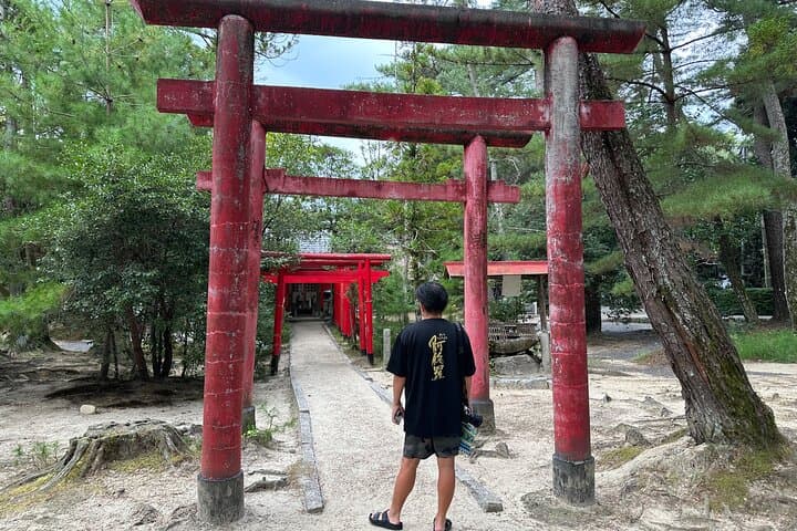 IGA the Birthplace of Ninja with Private Car & Driver (Max 9 Pax) — photo 14