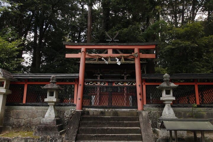 Explore Nature in Yoshino with an e-Bike Tour — photo 4