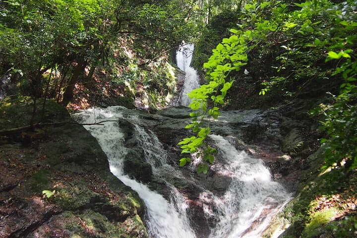 Explore Nature in Yoshino with an e-Bike Tour — photo 2