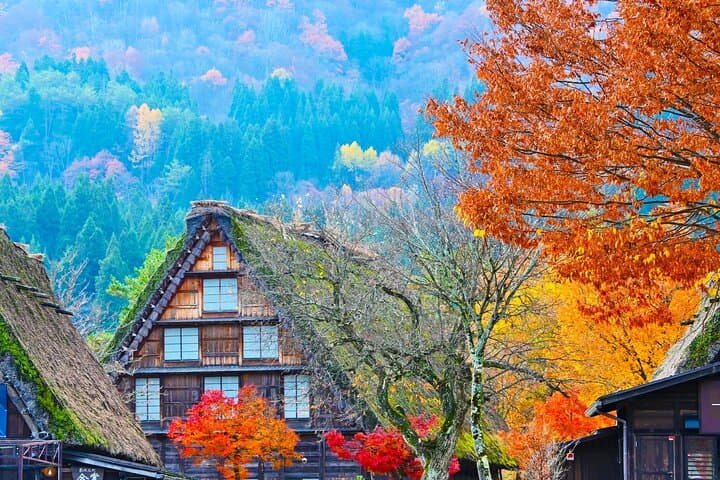 Shirakawa-go from Takayama/Nagoya One day Bus ticket — photo 17