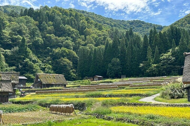 1 Day Private Charter Tour to Shirakawa-go & Takayama — photo 15
