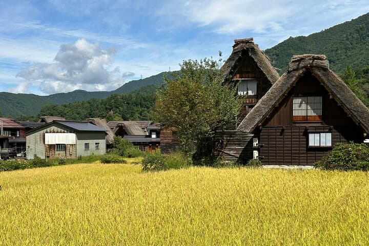 1 Day Private Charter Tour to Shirakawa-go & Takayama — photo 16