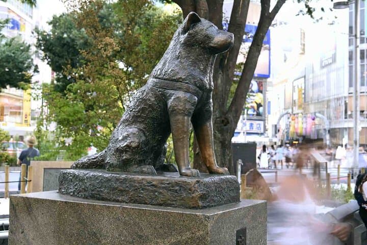 Tokyo Private SightSeeing Day Tour With Guide — photo 2