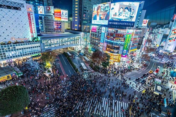 Tokyo Private SightSeeing Day Tour With Guide — photo 4