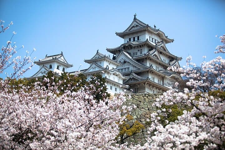 Tokyo Private SightSeeing Day Tour With Guide — photo 15