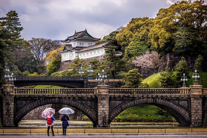 Tokyo Private SightSeeing Day Tour With Guide — photo 5