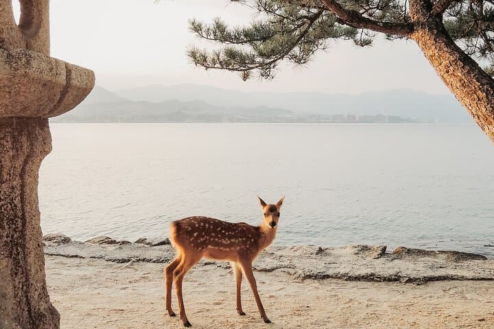 The Peace Memorial to Miyajima : Icons of Peace and Beauty — photo 6