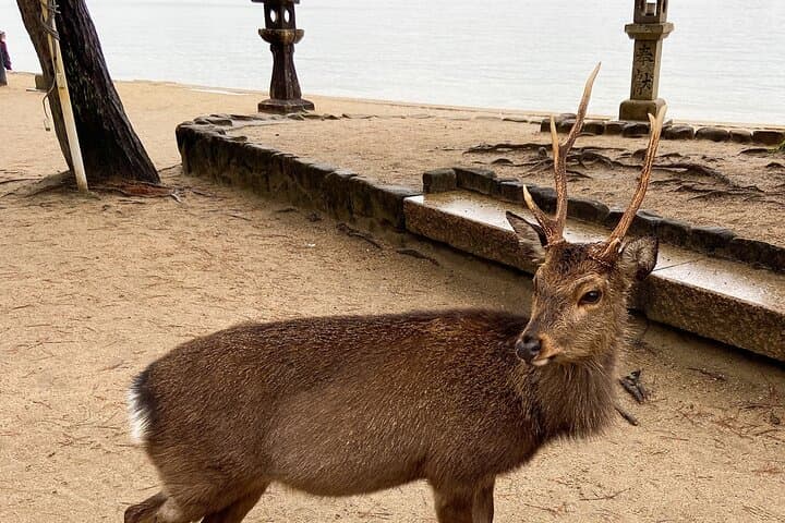 The Peace Memorial to Miyajima : Icons of Peace and Beauty — photo 11