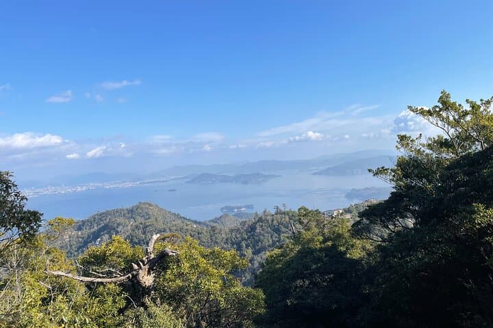 Miyajima Island Tour with Certified Local Guide — photo 18