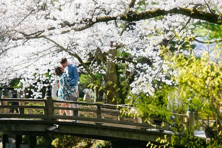 Kanazawa and Shirakawago/Photoshoot by professional photographer — photo 3