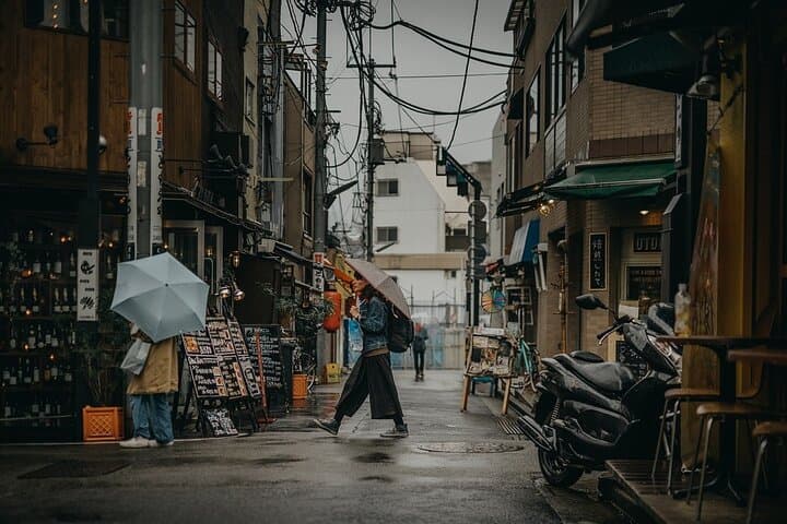 Private Driving Tour Tokyo Haunted Cultural Route — photo 6