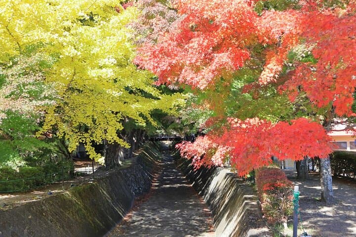 Lake Kawaguchi ⇔ Tokyo Bus Tickets — photo 10