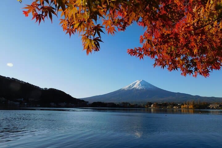 Lake Kawaguchi ⇔ Tokyo Bus Tickets — photo 12