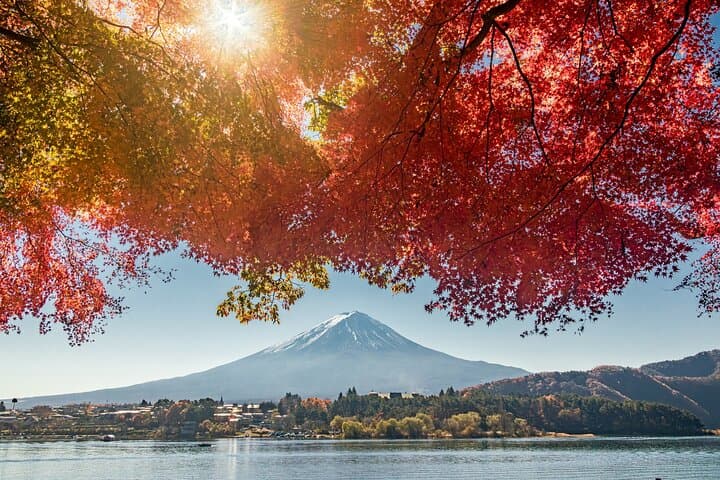 Lake Kawaguchi ⇔ Tokyo Bus Tickets — photo 2