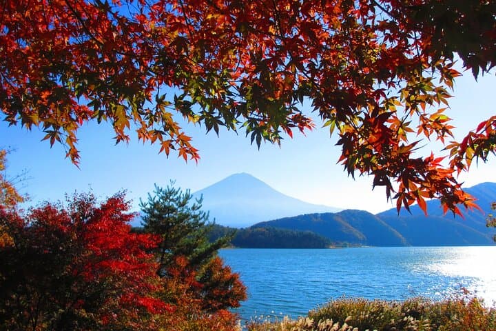 Lake Kawaguchi ⇔ Tokyo Bus Tickets — photo 9
