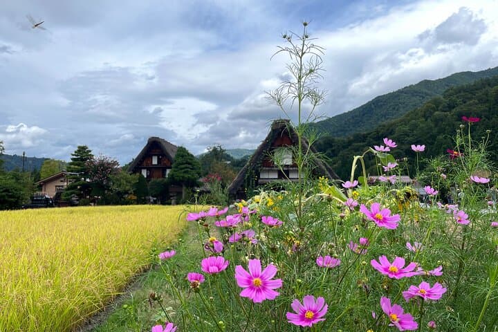 Shirakawa-go and Hida-Takayama Private Day Trip from Nagoya — photo 20