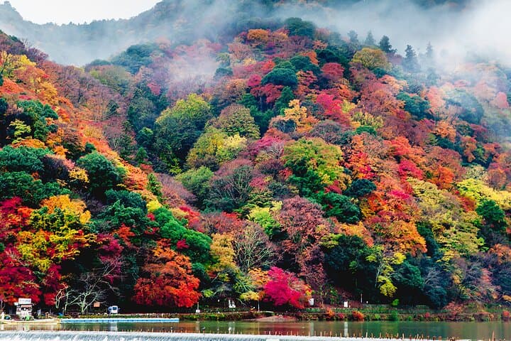 Ultimate Kyoto Arashiyama Tour: Bamboo, Monkeys & Hidden Gardens — photo 7