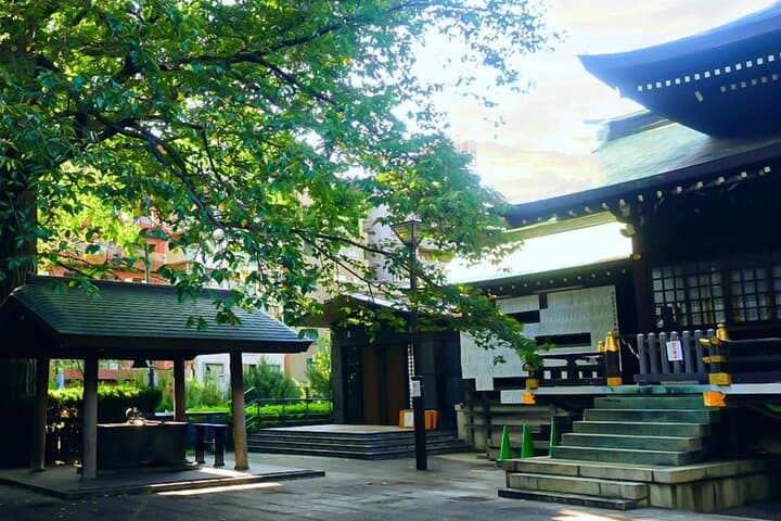 Private Tokyo Shinjuku Bus Tour with Licensed Guide — photo 10