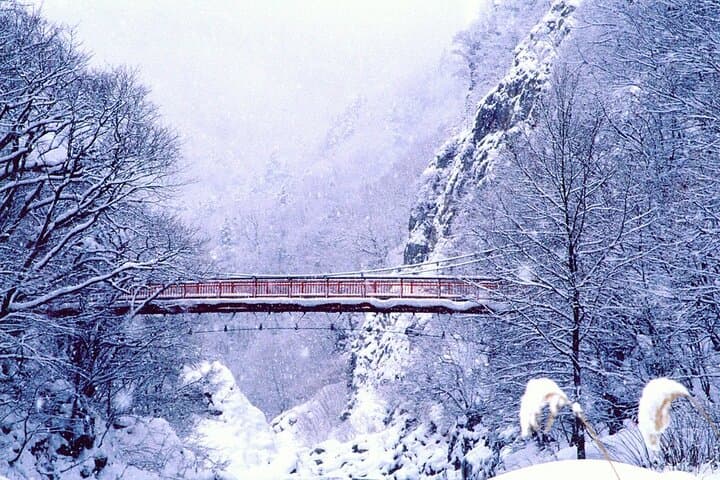 Full Day Private Skiing / Snowboarding Tour in Sapporo — photo 2