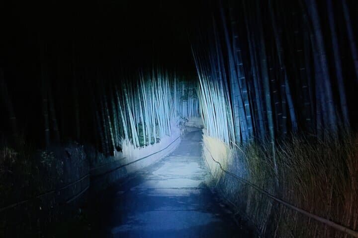 Kyoto Ghost Tour: Dark Tales, Urban Legends, Bamboo Forest Night — photo 6