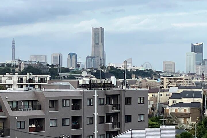 Yokohama Full Day Walking Tour with an Expert Local — photo 5