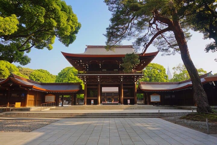 Tokyo Private SightSeeing Day Tour With Guide — photo 7