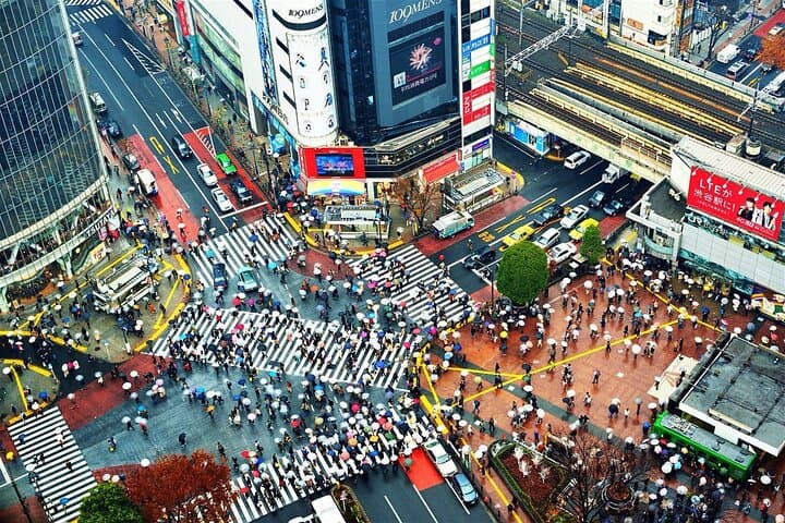 Tokyo Private SightSeeing Day Tour With Guide — photo 8