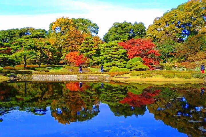 Tokyo Private SightSeeing Day Tour With Guide — photo 11