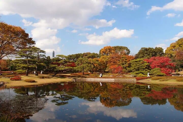 Tokyo Private SightSeeing Day Tour With Guide — photo 12