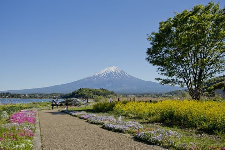 Mt.Fuji Private SightSeeing Day Tour With Guide (From Tokyo) — photo 2