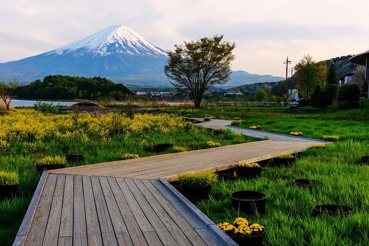 Mt.Fuji Private SightSeeing Day Tour With Guide (From Tokyo) — photo 6