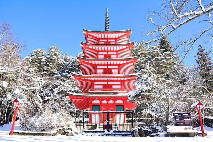 Mt.Fuji Private SightSeeing Day Tour With Guide (From Tokyo) — photo 8