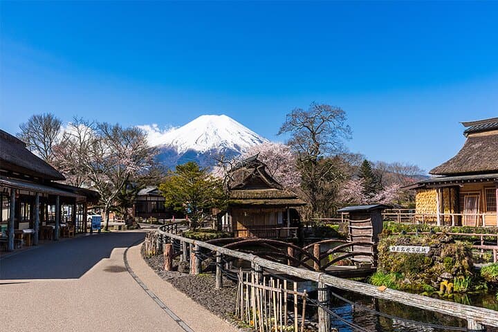 Mt.Fuji Private SightSeeing Day Tour With Guide (From Tokyo) — photo 13