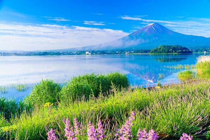 Mt.Fuji Private SightSeeing Day Tour With Guide (From Tokyo) — photo 15