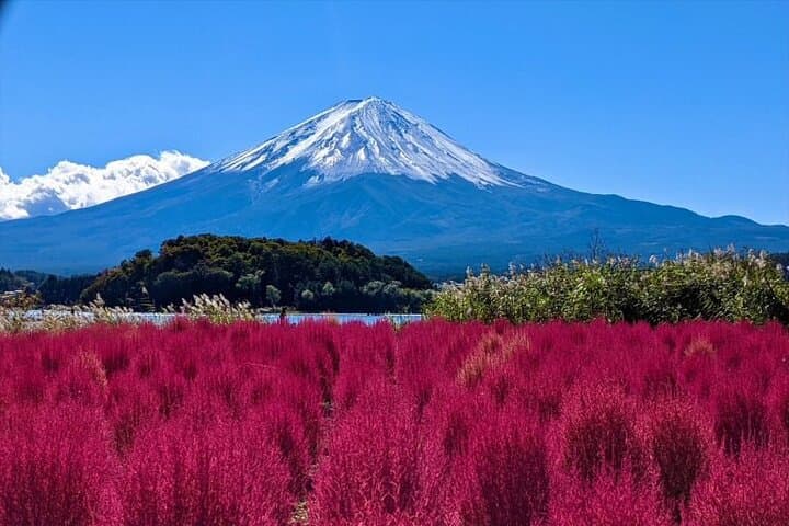 Mt.Fuji Private SightSeeing Day Tour With Guide (From Tokyo) — photo 16