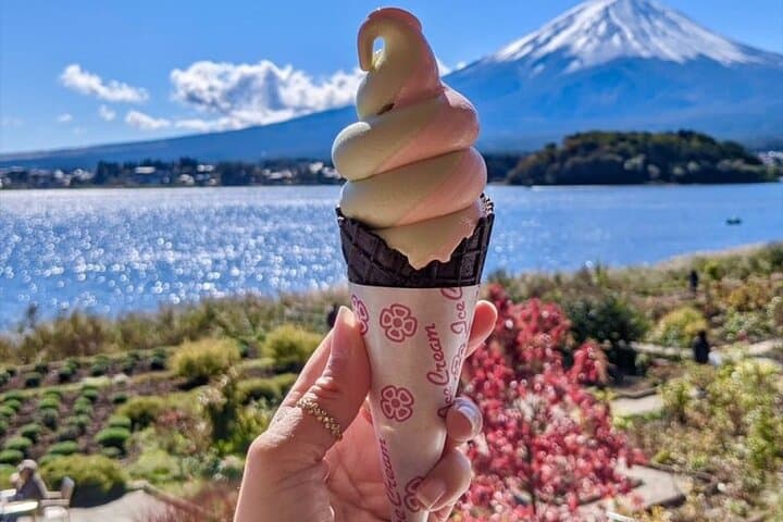 Mt.Fuji Private SightSeeing Day Tour With Guide (From Tokyo) — photo 18