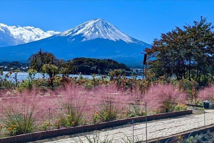 Mt.Fuji Private SightSeeing Day Tour With Guide (From Tokyo) — photo 19