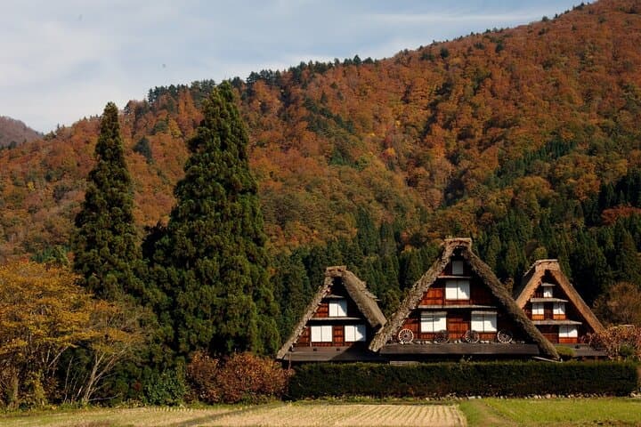 Shirakawa-go from Takayama/Nagoya One day Bus ticket — photo 20