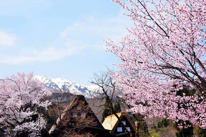 Shirakawa-go from Takayama/Nagoya One day Bus ticket — photo 5