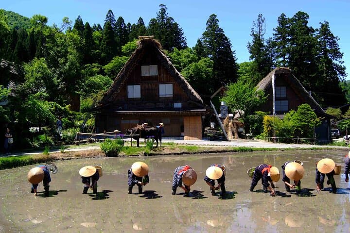 Shirakawa-go from Takayama/Nagoya One day Bus ticket — photo 6