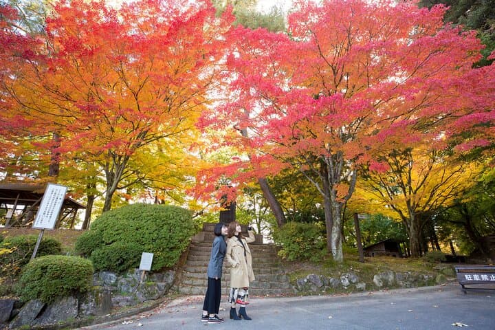 Hida Takayama from Nagoya Bus ticket Oneway — photo 11