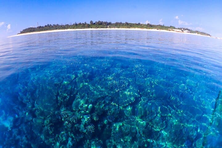 Okinawa: Scuba Diving Tour with Wagyu Lunch and English guide — photo 2