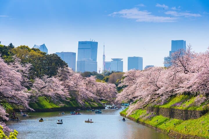 Full Day Private Shore Tour in Tokyo from Tokyo Cruise Port — photo 1