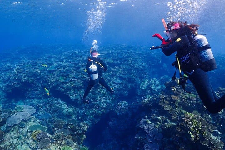 2-Day Private Deluxe Certification Course for Scuba Diving — photo 8