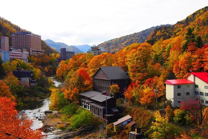 Sapporo Private Sightseeing Tour in Onsen with Special Package — photo 7
