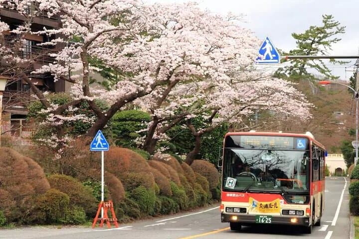 Hakone Free Pass, 2-3 Days Travel Voucher Japan — photo 6