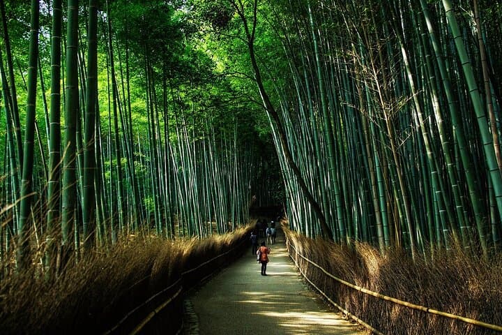 Kyoto: 3h 100% Customized Private Tour -Your Pace, Your Interests — photo 12