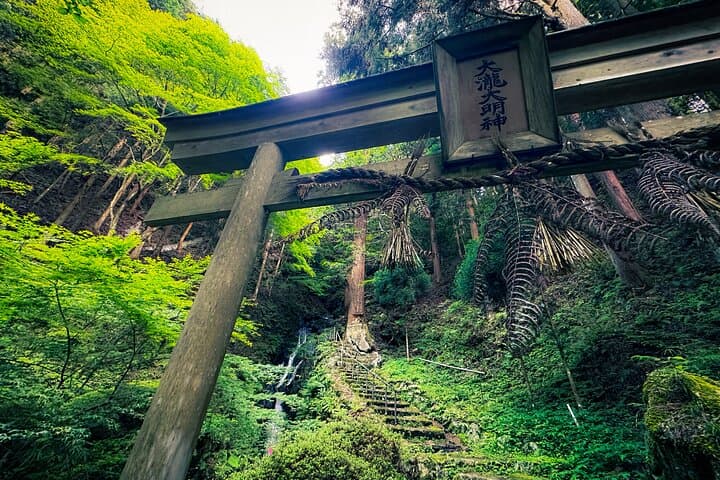 Scenic Green Tea Fields of Hidden Kyoto & Local Tea Exp (Private) — photo 18