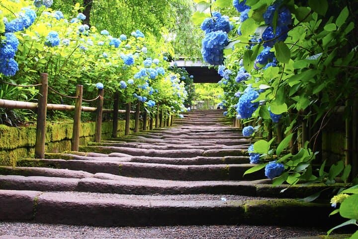 4-hour Private Tour of Kamakura with Government-Licensed Guide — photo 3